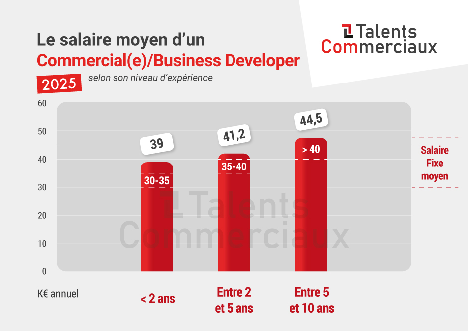 histogramme-commercial-business-developer